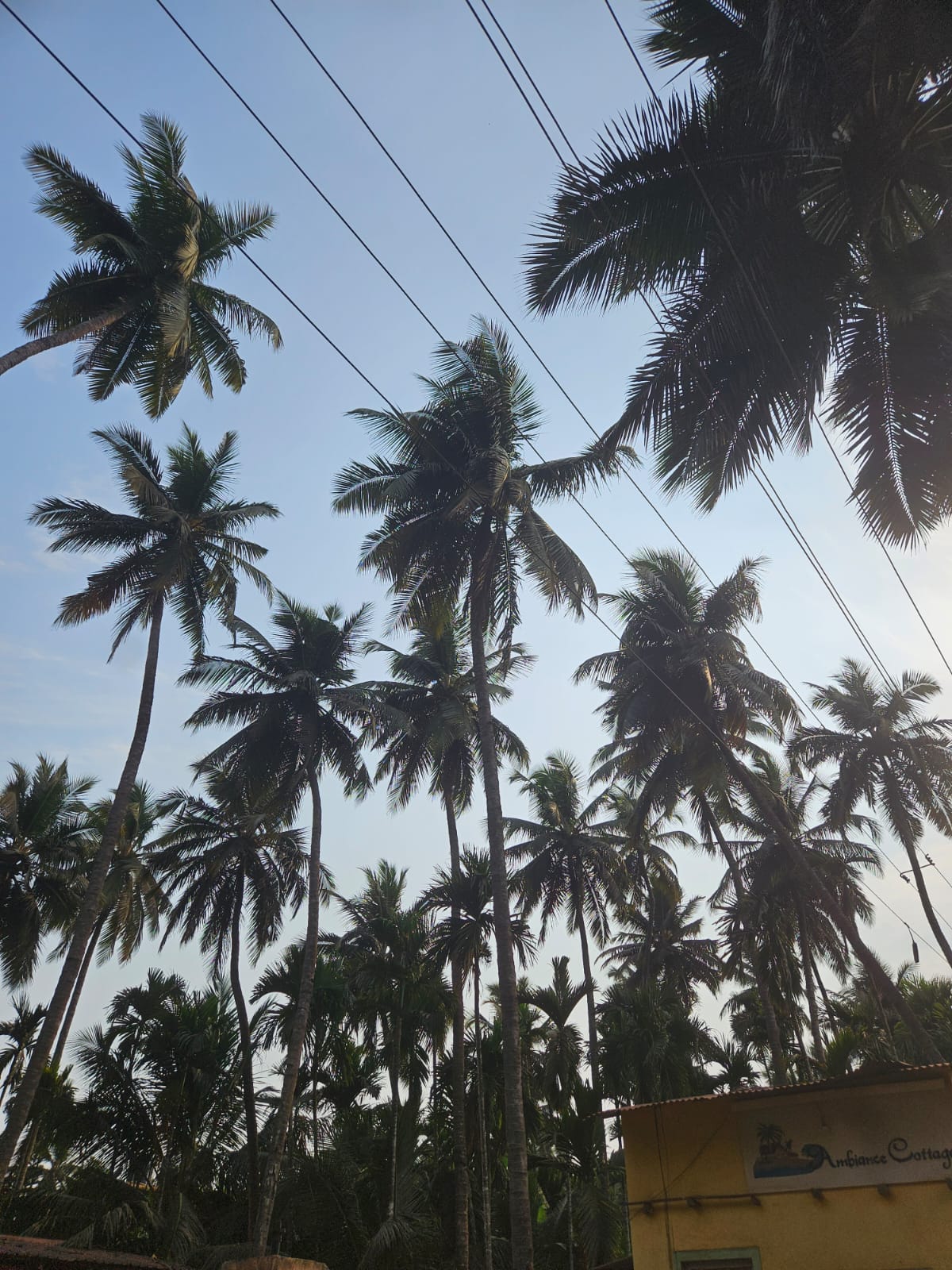 Konkan Trip